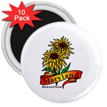 Maryland State Flower 3  Magnet (10 pack)