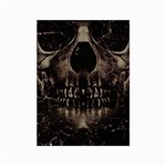 Skull Poster Background Canvas 18  x 24  (Unframed)