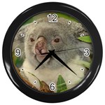 Koala Bear Wall Clock (Black)