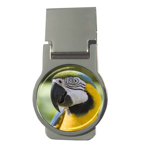 Parrot Money Clip (Round) from mytees Front