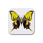 Butterfly M2 Rubber Square Coaster (4 pack)