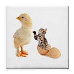 Kitten in an egg with chick Tile Coaster