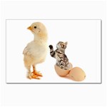 Kitten in an egg with chick Postcards 5  x 7  (Pkg of 10)