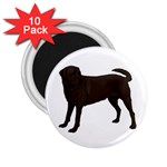 BW Chocolate Labrador Retriever Dog Gifts 2.25  Magnet (10 pack)