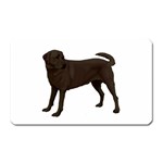 BW Chocolate Labrador Retriever Dog Gifts Magnet (Rectangular)