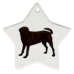 BW Chocolate Labrador Retriever Dog Gifts Star Ornament (Two Sides)