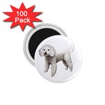 White Poodle Dog Gifts BW 1.75  Magnet (100 pack) 