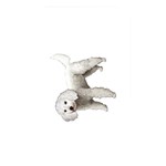 White Poodle Dog Gifts BW Memory Card Reader (Rectangular)
