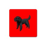 Black Poodle Dog Gifts BR Magnet (Square)