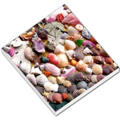 Colorful Sea Shells Small Memo Pads