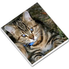 Blue-eyed Kitty Small Memo Pads