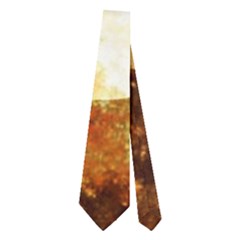 Sparkling Lights Neckties (two Side) 