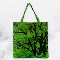 Big Trees, El Leoncito National Park, San Juan, Argentina Grocery Tote Bag