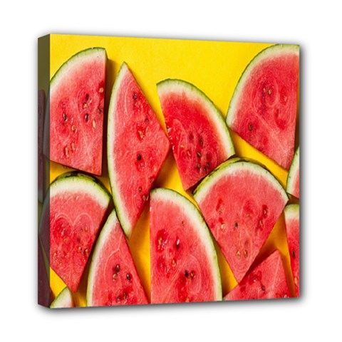 Watermelon Mini Canvas 8  X 8  (stretched)