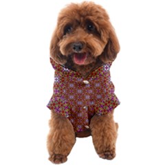Illustrations Background Pattern Mandala Seamless Dog Coat