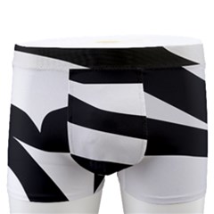 White Tiger Skin Men s Boxer Briefs