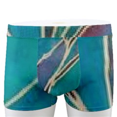 Aqua Batik, Abstract, Colorful Men s Boxer Briefs