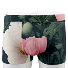 Poppy Flower Plant Petals Bloom Men s Boxer Briefs