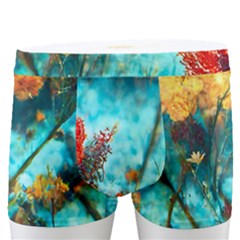 Flowers Detail Painting Nature Men s Boxer Briefs