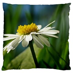 Daisy Large Cushion Case (single Sided) 