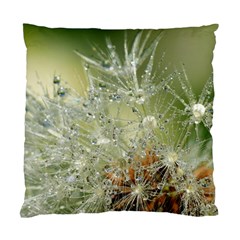 Dandelion Cushion Case (single Sided) 