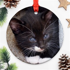 Kitty In A Corner Ornament (round) 