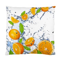 Fruits Water Vegetables Food Standard Cushion Case (one Side)
