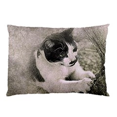 Cat Pet Art Abstract Vintage Pillow Case