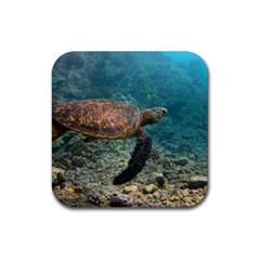 Sea Turtle 3 Rubber Coaster (square) 