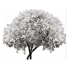 Nature Tree Blossom Bloom Cherry Double Sided Flano Blanket (large) 