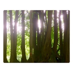 Tree Of Trees Double Sided Flano Blanket (large) 