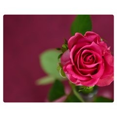 Rose 693152 1920 Double Sided Flano Blanket (medium) 