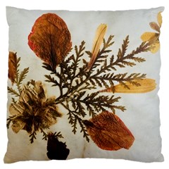 Holy Land Flowers 2 Large Cushion Case (one Side)