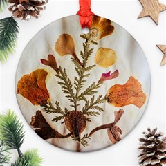 Holy Land Flowers 13 Round Ornament (two Sides)