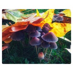 Mushrooms Double Sided Flano Blanket (medium) 