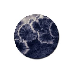 Tree Fungus Ii Rubber Coaster (round) 