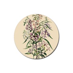 Botanical Print Antique Natural Rubber Coaster (round) 