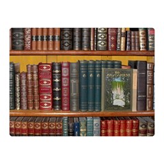 Books Library Bookshelf Bookshop Double Sided Flano Blanket (mini) 