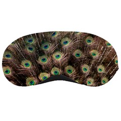 Bird 4099645 960 720 Sleeping Mask