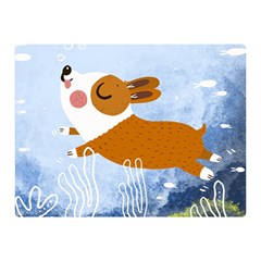 Underwaterdog Double Sided Flano Blanket (mini) 