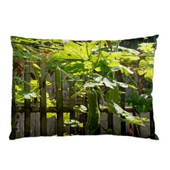 Bitter Melon Pillow Case