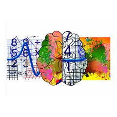 Brain Cerebrum Biology Abstract Double Sided Flano Blanket (mini) 