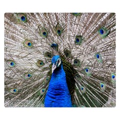 Peacock Bird Animal Feather Nature Colorful Premium Plush Fleece Blanket (small)