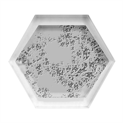 Retro-01 Hexagon Wood Jewelry Box