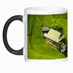 Apartment Curve Path Step Morph Mug