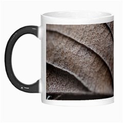 Leaf Veins Nerves Macro Closeup Morph Mug