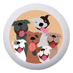 Dogs Pet Background Pack Terrier Dento Box With Mirror