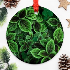 Shanghai Botanical Garden Ornament (round)