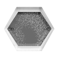 Minimal Glory Hexagon Wood Jewelry Box