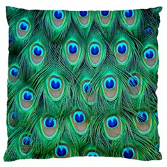 Feather, Bird, Pattern, Peacock, Texture Standard Premium Plush Fleece Cushion Case (two Sides)